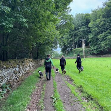 A Brilliant Trial Day at Bowlees Education Farm 2