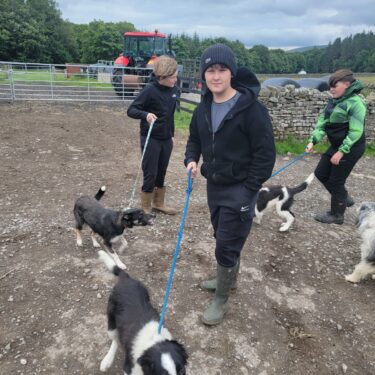 A Brilliant Trial Day at Bowlees Education Farm 4