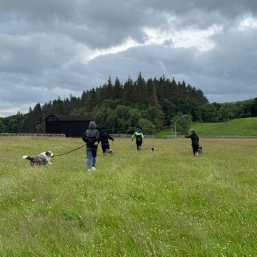 A Brilliant Trial Day at Bowlees Education Farm 6